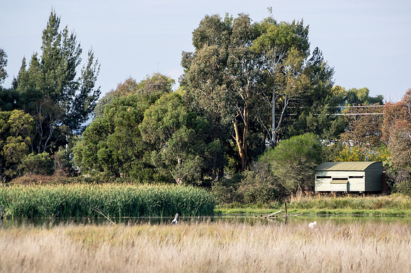 Bird-watching hide