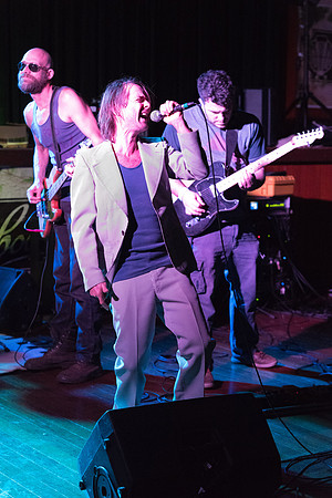 Antibodies 3 - Mazstock 2016