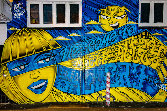 Welcome to the BAG (Back Alley Gallery)