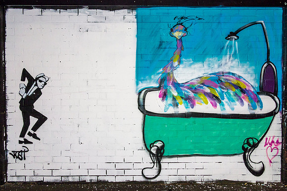 Bathtub emu - Lismore Back Alley Gallery