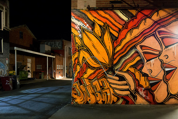 Crying eyes - Lismore Back Alley Gallery