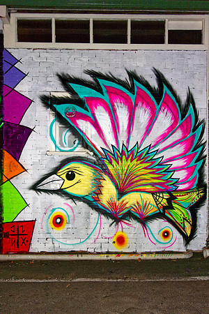 Sail bird - Lismore Back Alley Gallery
