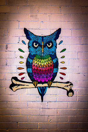 Rainbow owl - Back Alley Gallery