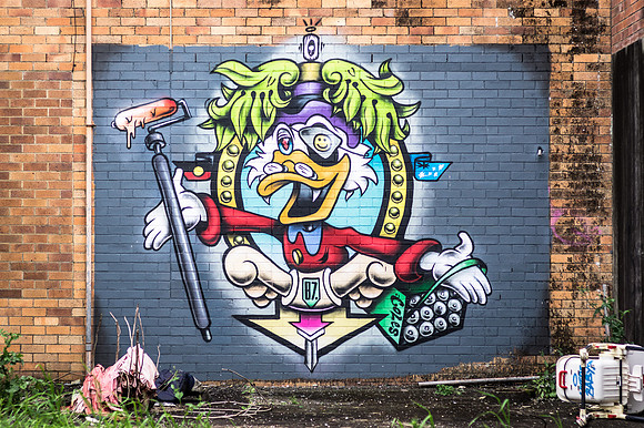 Graffiti duck