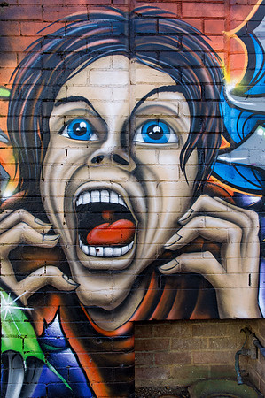 Back Alley Gallery screamer