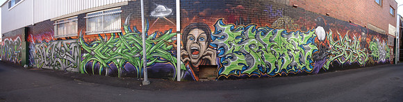 Rear of Eggins Ln panorama - Back Alley Gallery