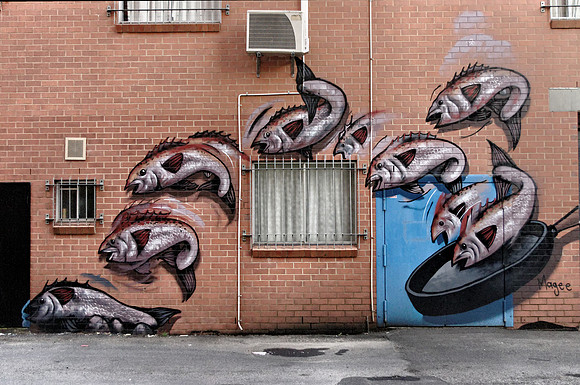 Flying frying fish - Lismore Back Alley Gallery