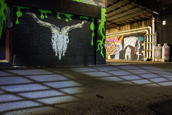 Shadow skull