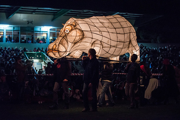 Hippo lantern