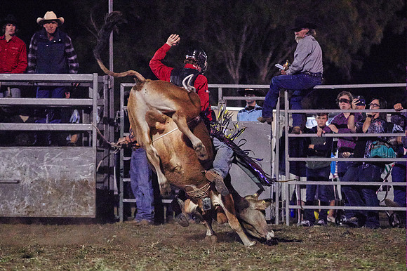 Red rider 1 - Bull riding - Kyogle Show