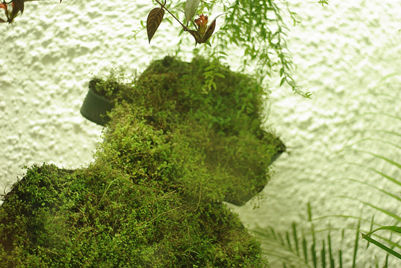 Green profile