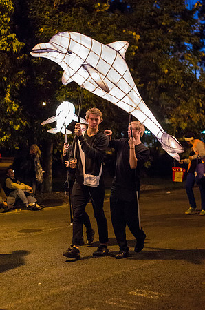 Dolphin lantern