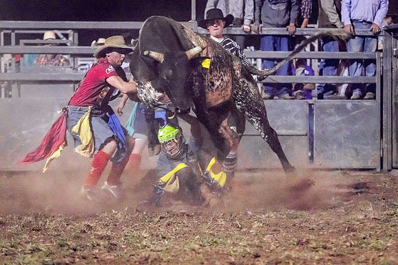 Under the bull