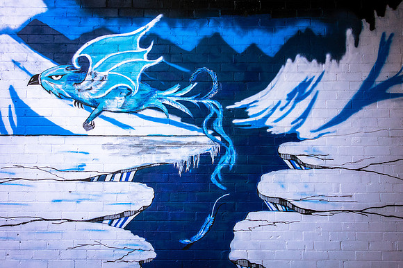 Ice hawk