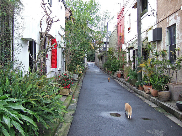 Surry Hills laneway