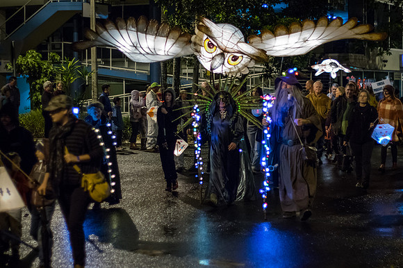 Owl lantern