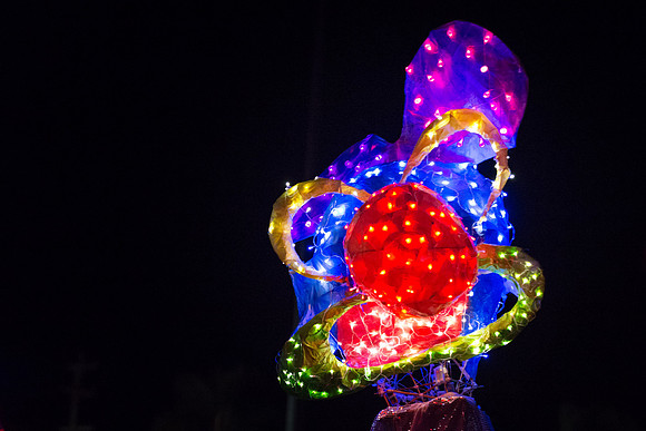 Wild clown 2