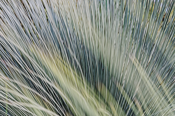 Interference pattern