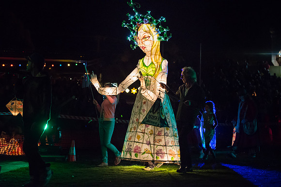 Irish dancer