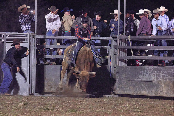 Bull riding - Kyogle Show