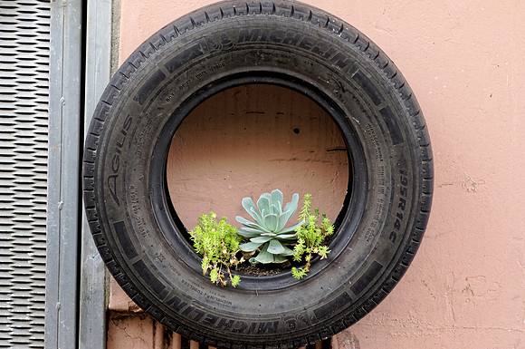 Tyre garden