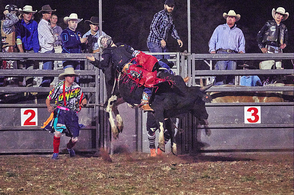 Laid back - Bull riding - Kyogle Show