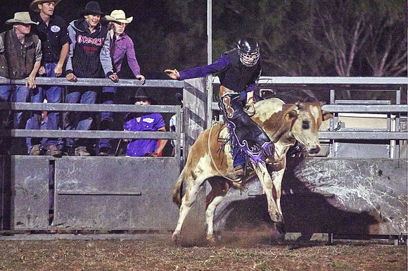 Purple rider - Bull riding - Kyogle Show