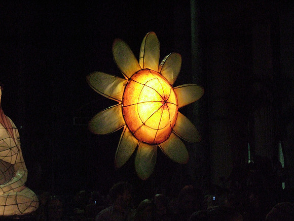 Night daisy