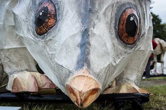 Possum lantern by day