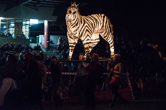 Zebra lantern