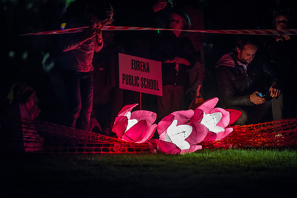 Lotus flower lanterns