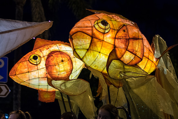 Goldfish lanterns